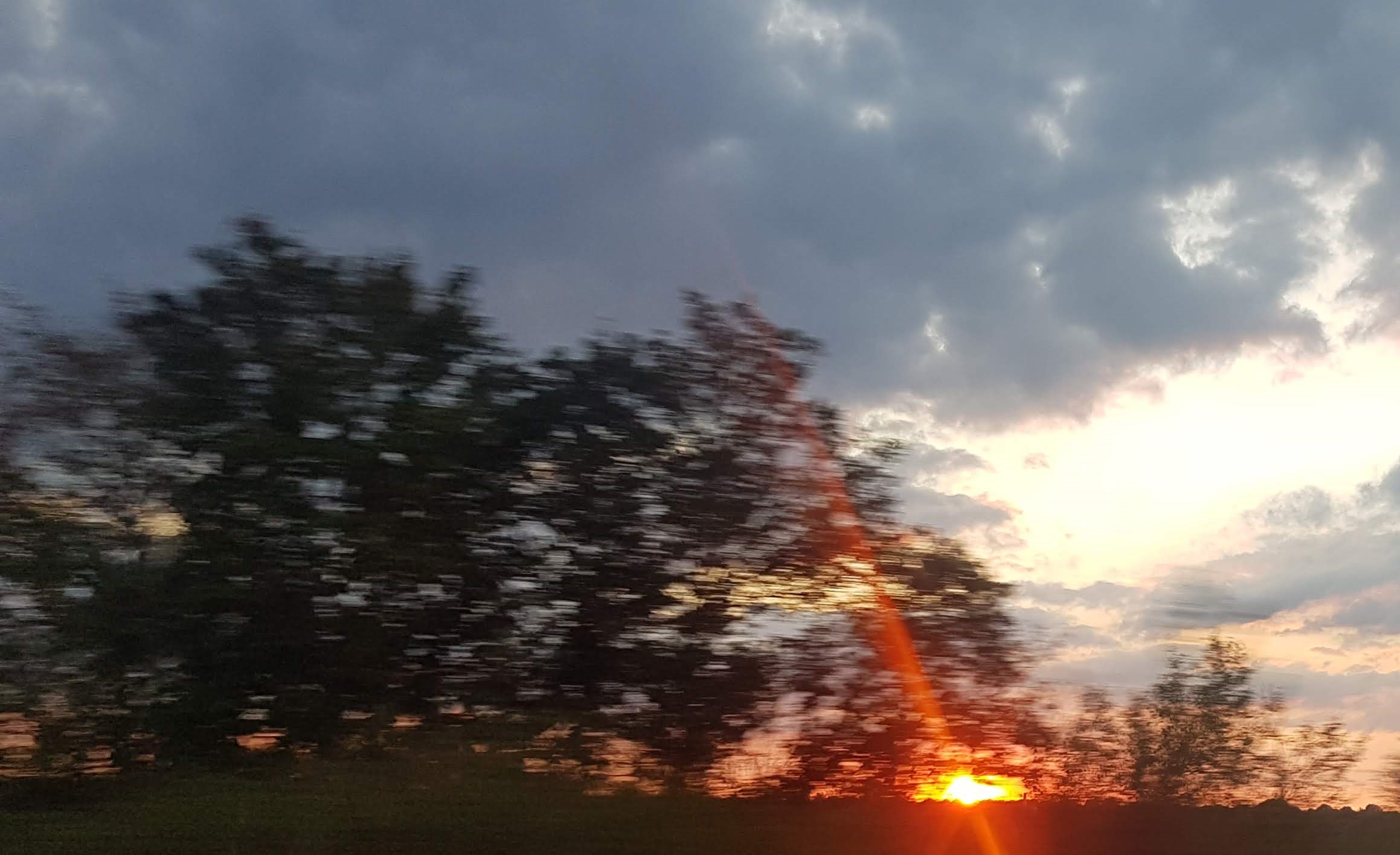 Verschwommen aufgenommen Baumwipfel mit untergehender, roter Sonne im Hintergrund