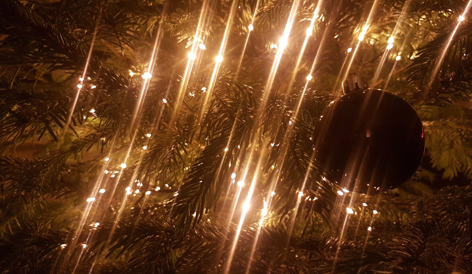 Weihnachtsbaum mit Licherkette und einer dunklen Kugel sehr dicht fotografiert